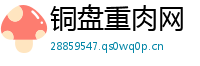 铜盘重肉网
